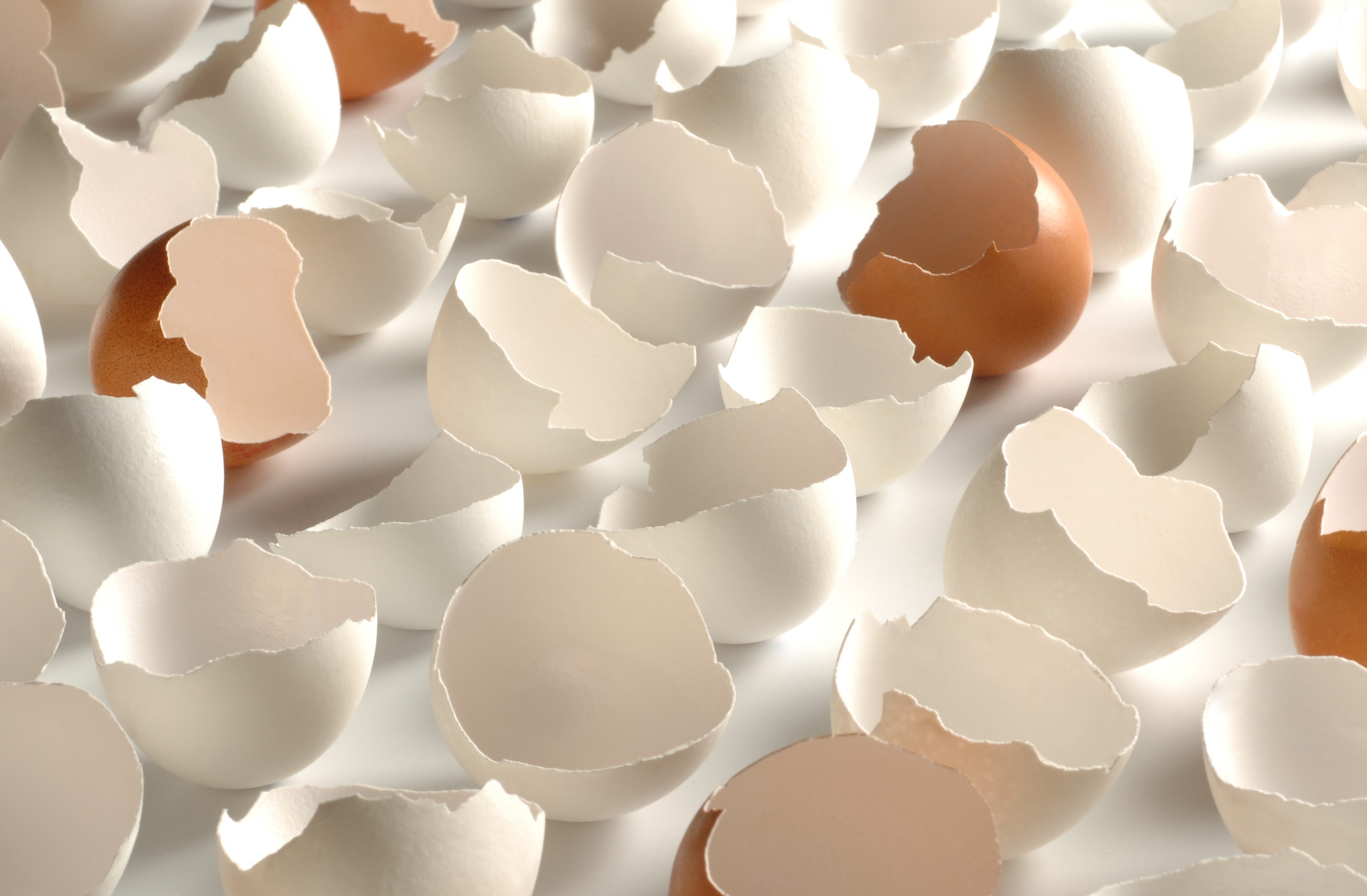 Eggshells CU1 P9